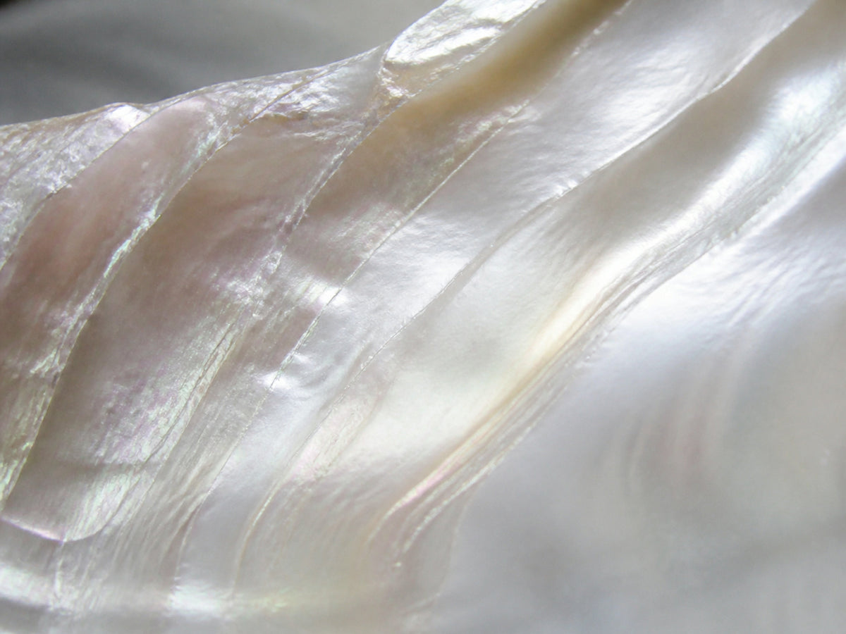 Close-up of luminous mother-of-pearl nacre in soft ivory tones.