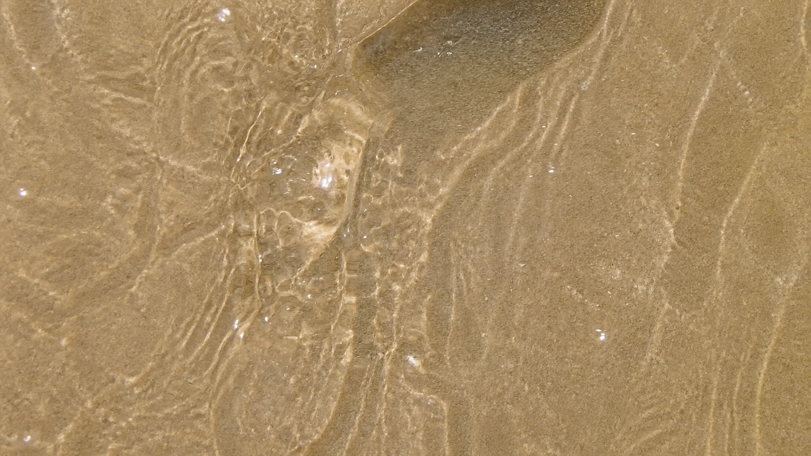 Sunlight refracting across clear blue-green seawater