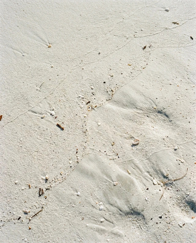 Sunlit white beach sand with shallow footprints and scattered shell fragments